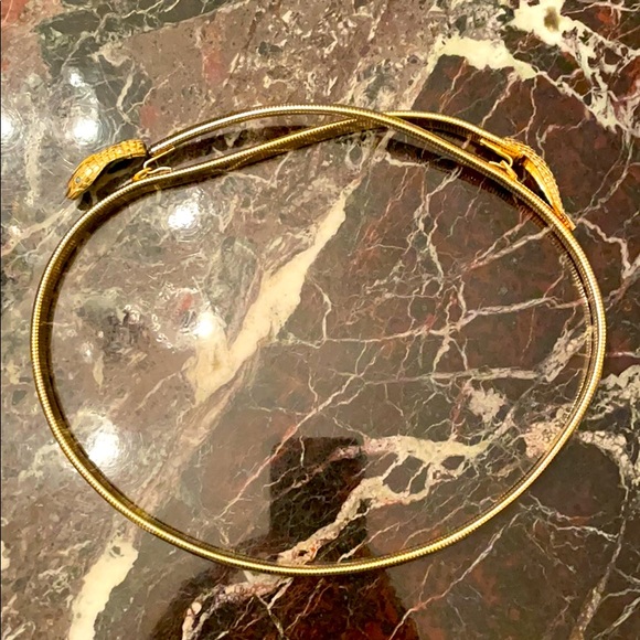 Snake belt main image 12